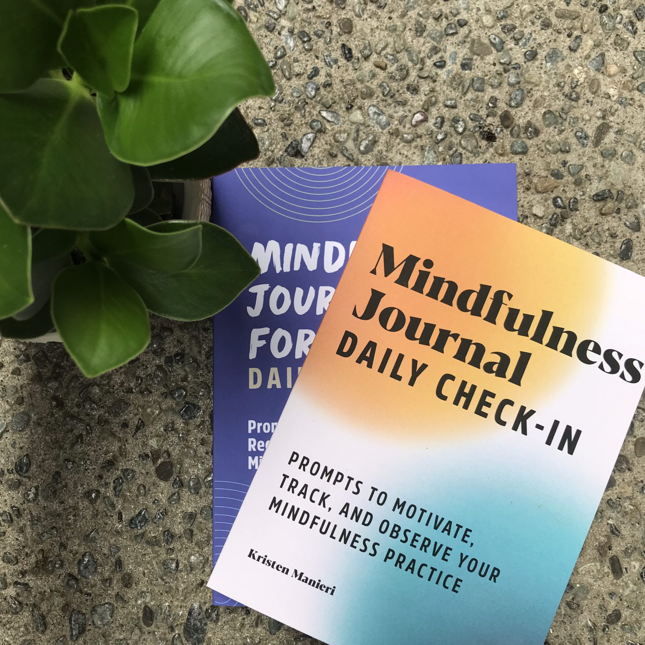Guided Mindfulness Journals